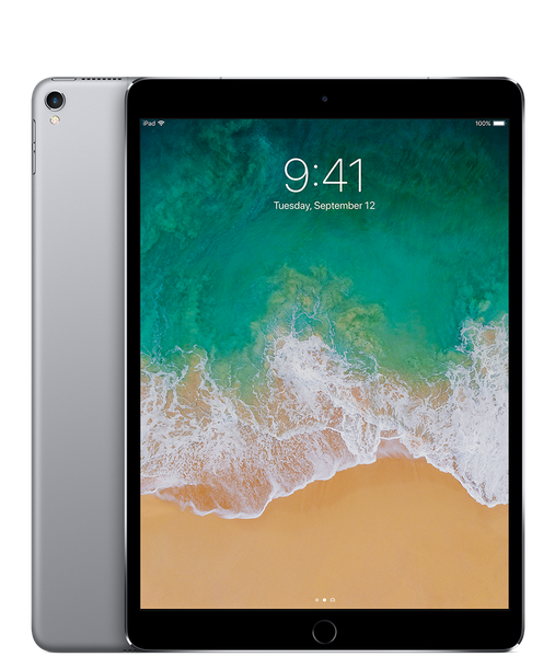 ipad pro (1st gen) Space grey
