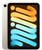 iPad Mini 6 Starlight