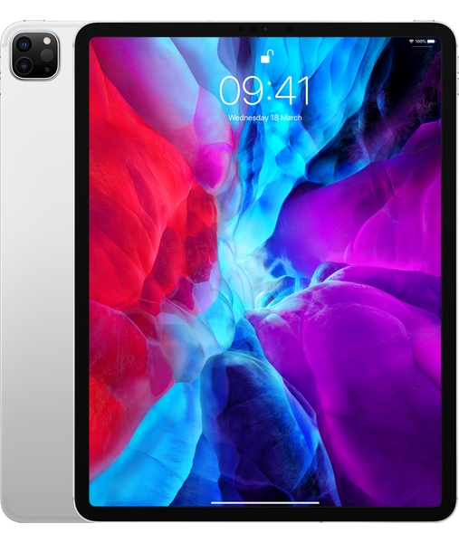 iPad Pro 12.9 inch - 4th Gen