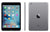 Ipad mini 2 grey