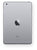 iPad mini 3