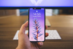 iPhone X