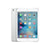 Ipad mini 4 Silver